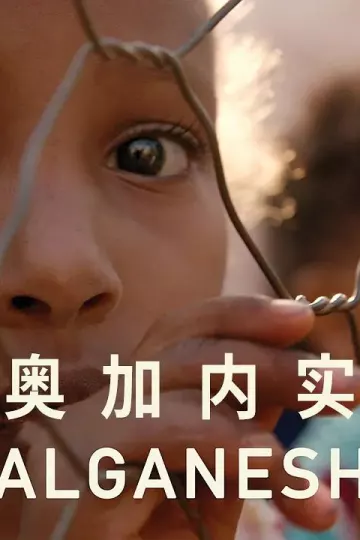 奥加内实
