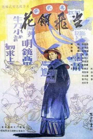 花翎飞盗[电影解说]
