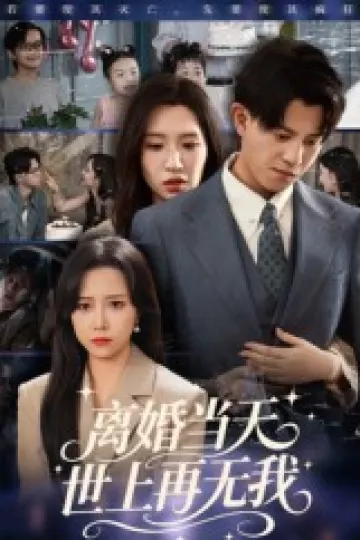 离婚当天世上再无我