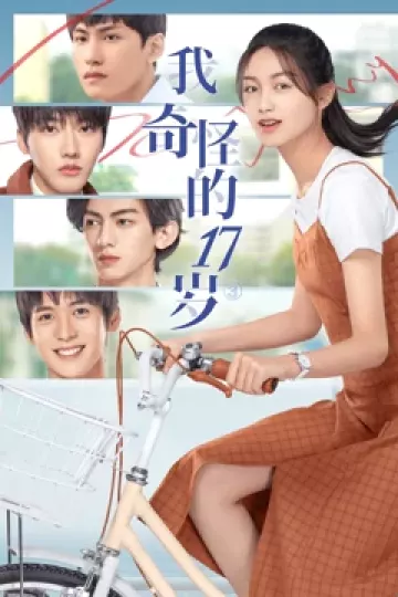 我奇怪的17岁2022