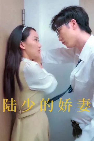 陆少的娇妻