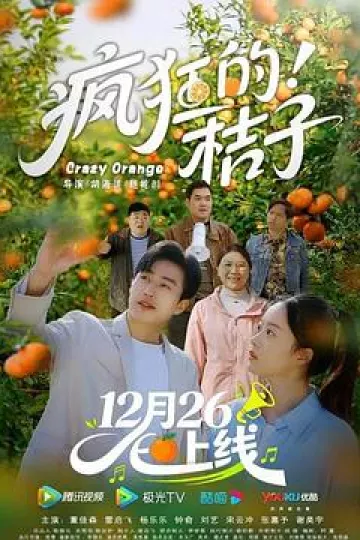 疯狂的桔子