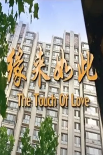 缘来如此
