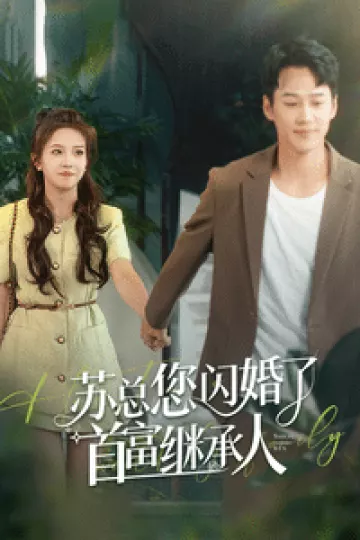 苏总您闪婚了首富继承人