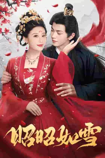 昭昭如雪