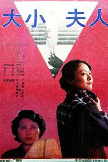 大小夫人[电影解说]