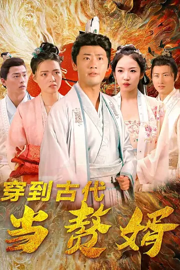 穿到古代当赘婿