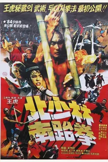 南北少林
