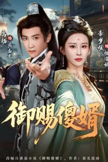 御赐傻婿