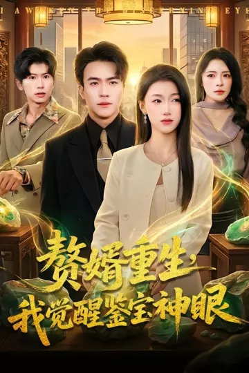 赘婿重生，我觉醒鉴宝神眼