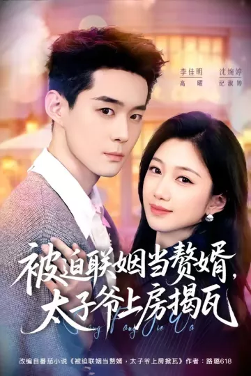 被迫联姻当赘婿，太子爷上房揭瓦