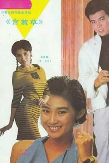 含羞草