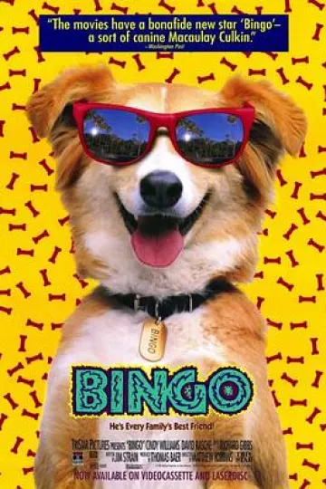 灵犬宾果