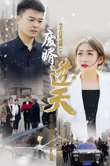 废婿逆天合集版
