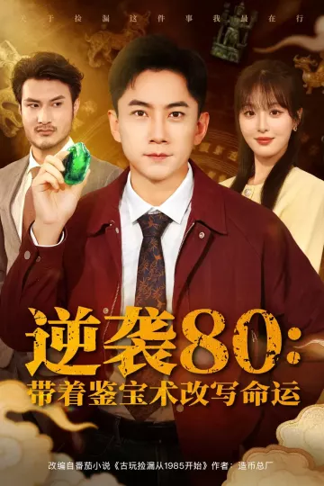 逆袭80带着鉴宝术改写命运