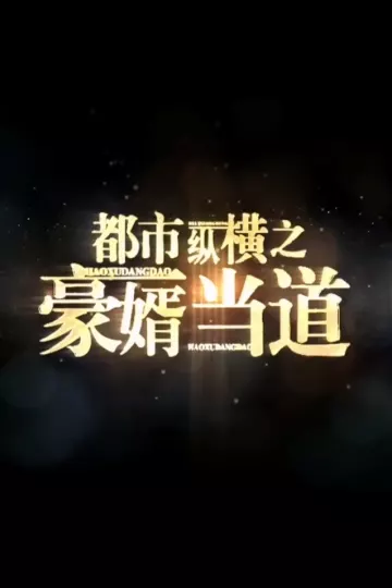 都市纵横之豪婿当道