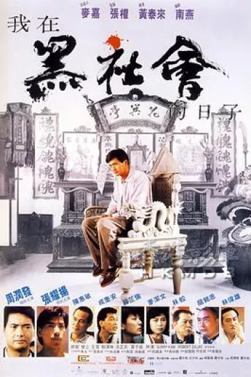 我在黑社会的日子[电影解说]
