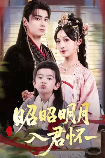 昭昭明月入君怀