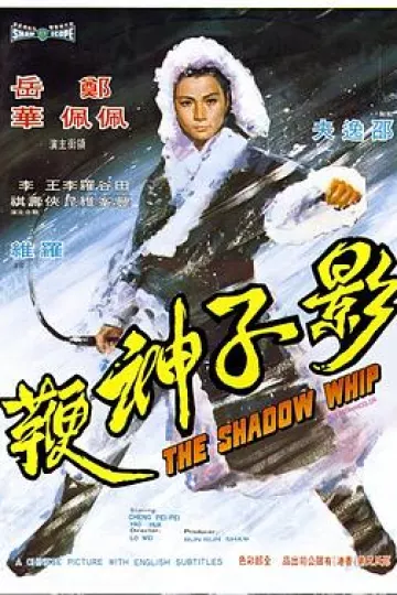 影子神鞭[电影解说]
