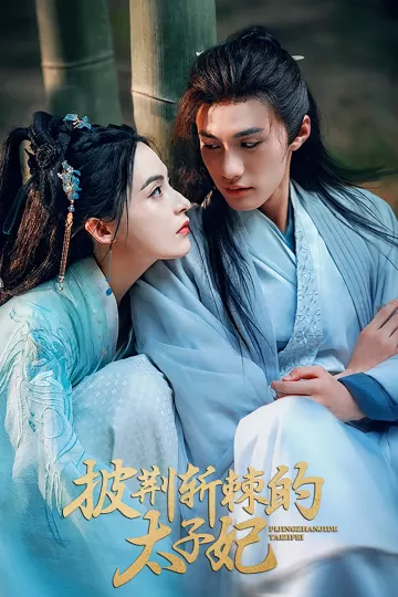 披荆斩棘的太子妃