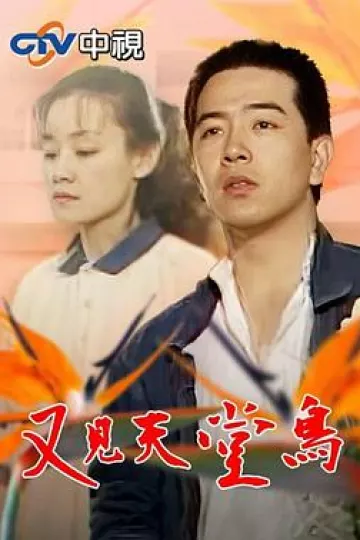 又见天堂鸟