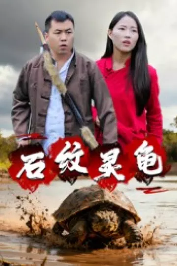 石纹灵龟