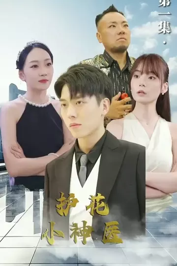 护花小神医
