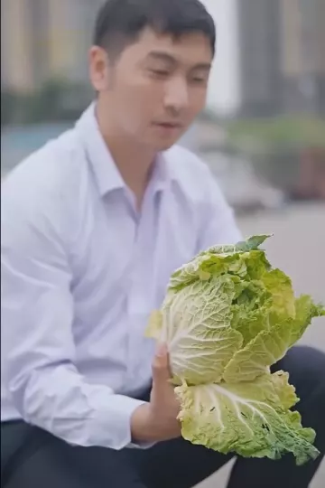 股王废婿