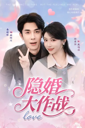 隐婚大作战