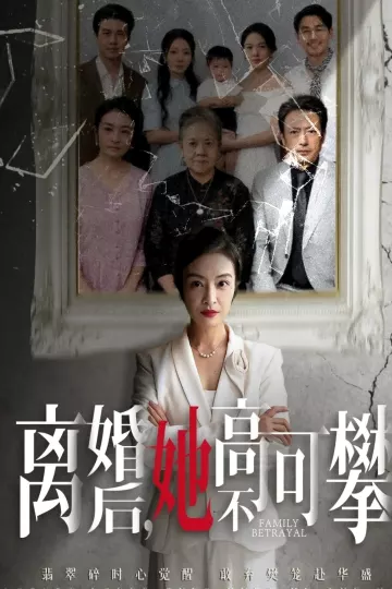 离婚后她高不可攀