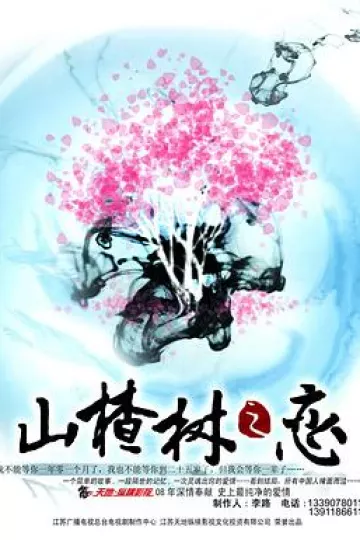 山楂树之恋2011