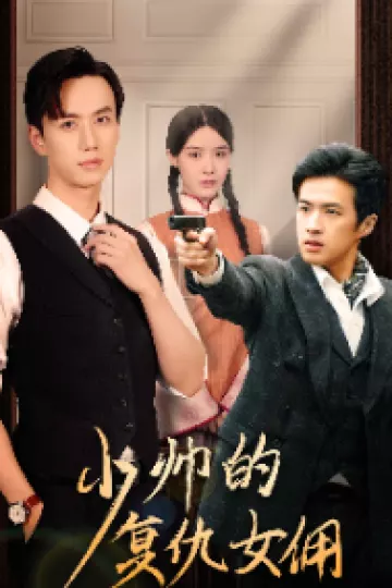 少帅的复仇女佣
