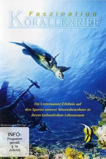 珊瑚礁2013