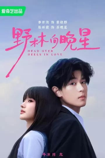 野林向晚星