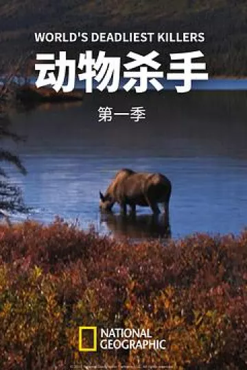 动物杀手第一季