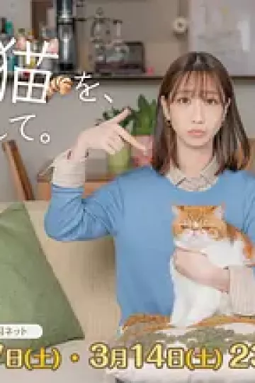 我收留了前男友的猫