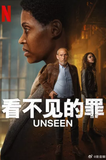 看不见的罪第二季
