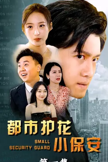 都市护花小保安合集版