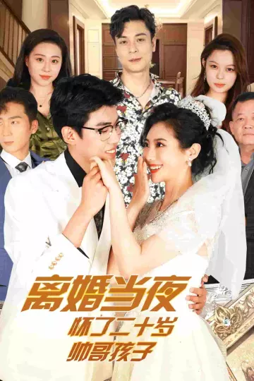 离婚当夜怀了二十岁帅哥