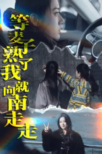 等麦子熟了我就向南走走