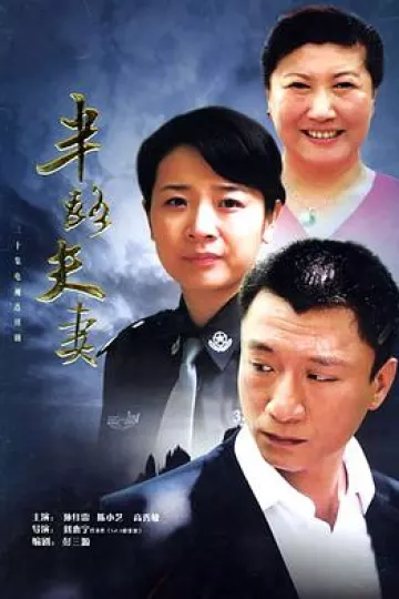 半路夫妻