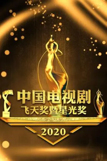 中国电视剧飞天奖暨星光奖2020