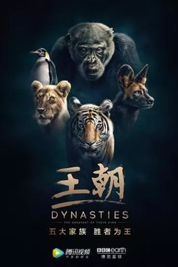 王朝 第一季
