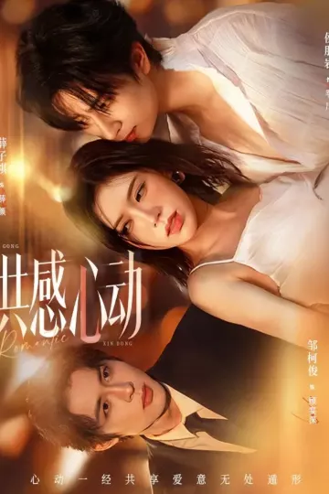 共感心动