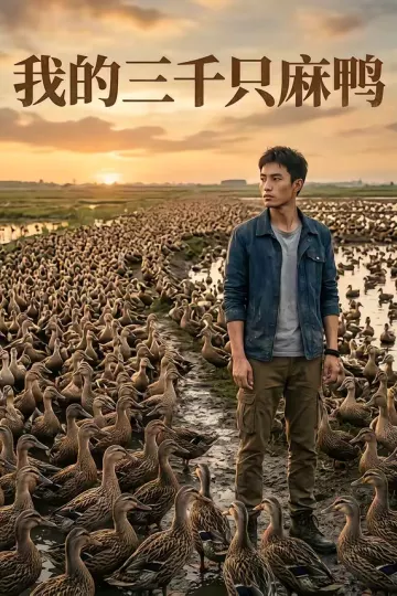 我的三千只麻鸭