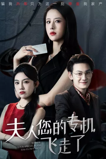 夫人您的专机飞走了