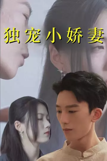 独宠小娇妻