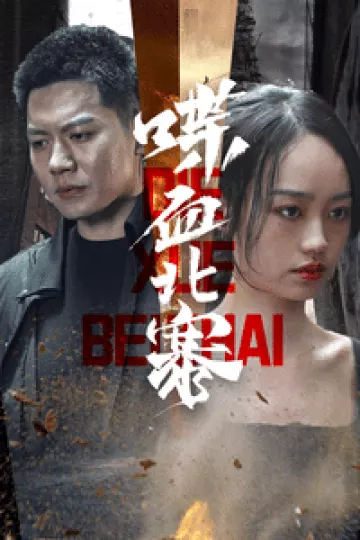 喋血北寨