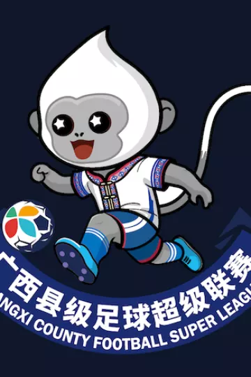 广西县级足球超级联赛 崇左市龙州县队2-4钦州市钦北区队20260321
