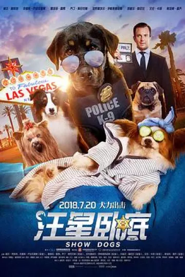 汪星卧底[电影解说]